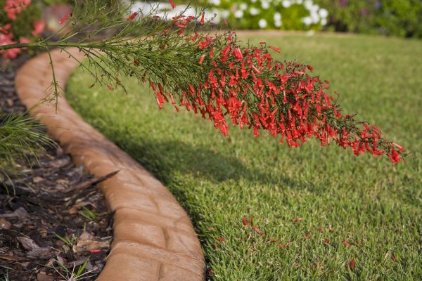 Brick Edging in Medina