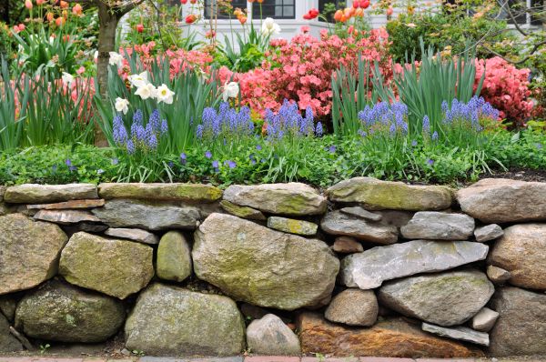 Stone Wall Hardscaping in Medina