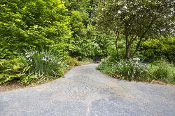 Stone Hardscape Service in Medina